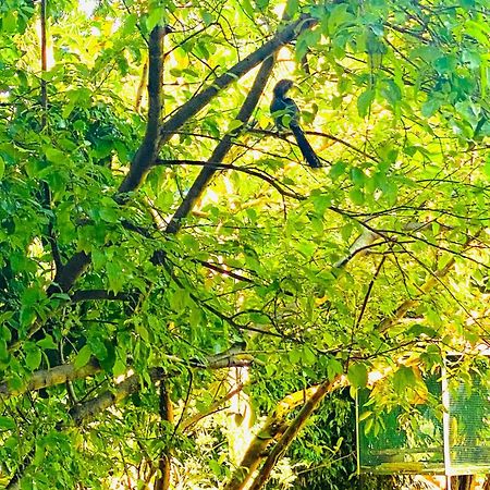 Gamagedara Resort Dambulla Bagian luar foto