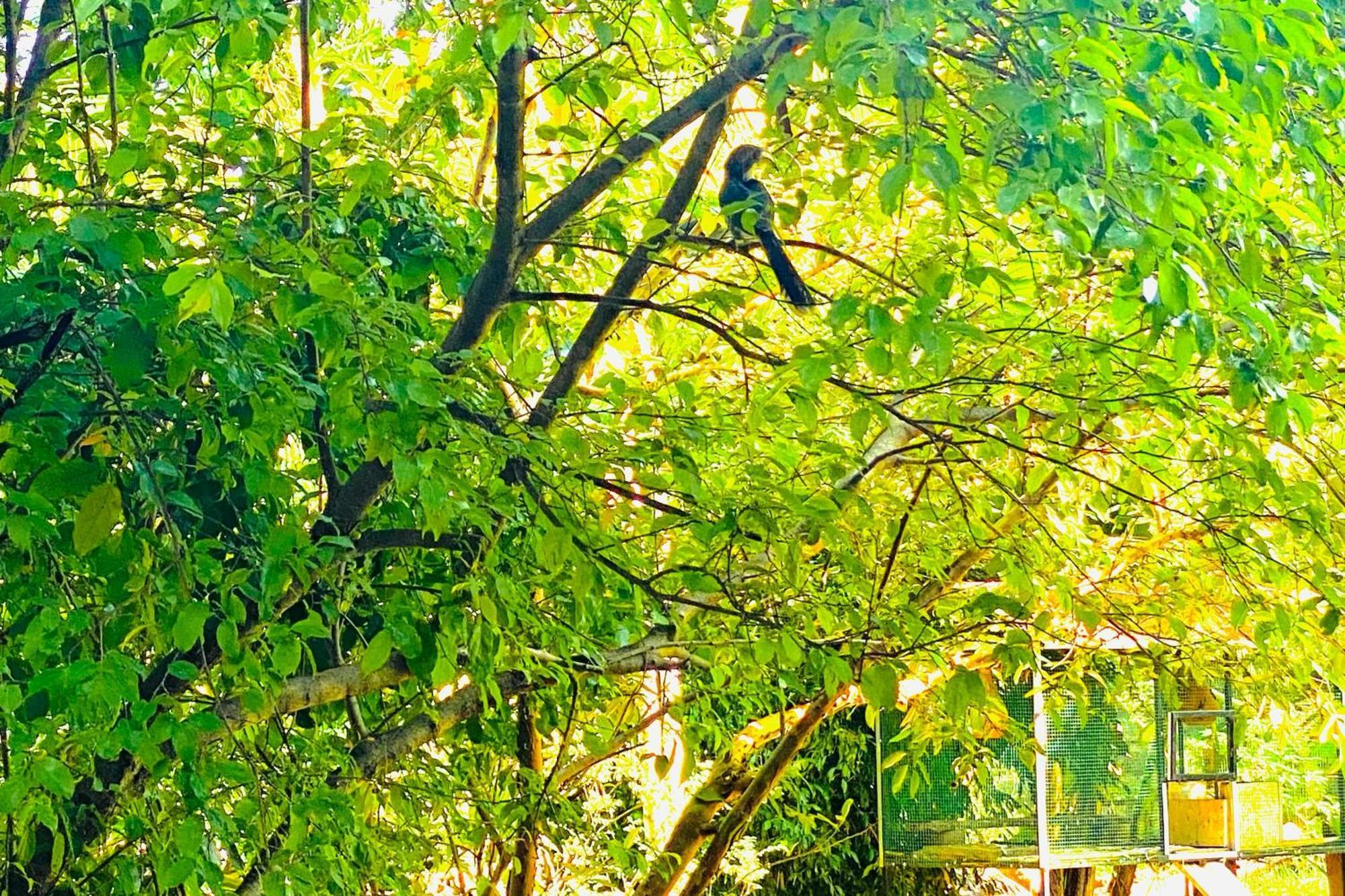 Gamagedara Resort Dambulla Bagian luar foto